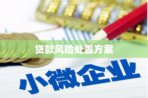 久治贷款风险处置方案