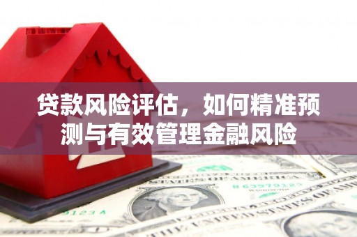 久治贷款风险评估，如何精准预测与有效管理金融风险