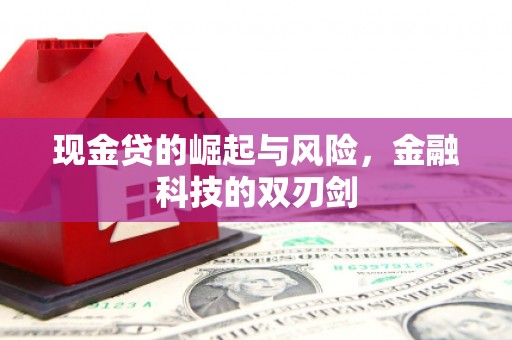 久治现金贷的崛起与风险，金融科技的双刃剑