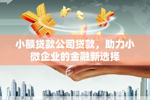 久治小额贷款公司贷款，助力小微企业的金融新选择