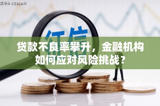 久治贷款不良率攀升，金融机构如何应对风险挑战？