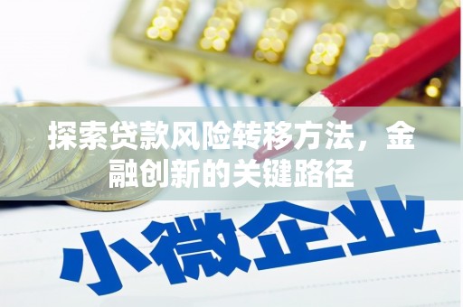 久治探索贷款风险转移方法，金融创新的关键路径