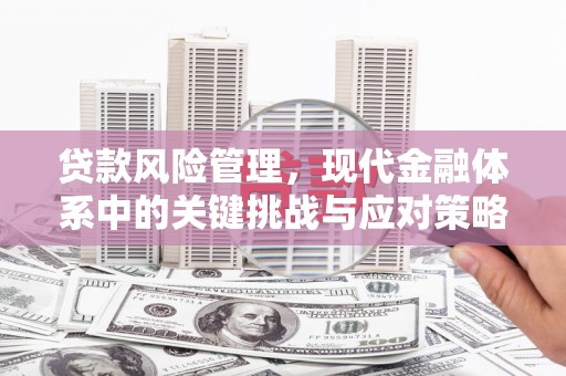 久治贷款风险管理，现代金融体系中的关键挑战与应对策略