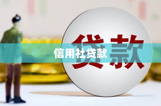 久治信用社贷款