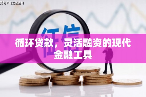 久治循环贷款，灵活融资的现代金融工具