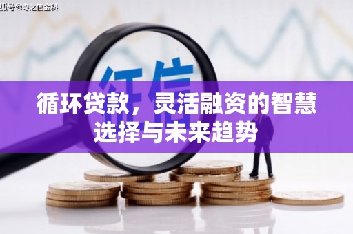 久治循环贷款，灵活融资的智慧选择与未来趋势