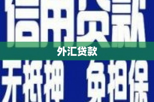 久治外汇贷款