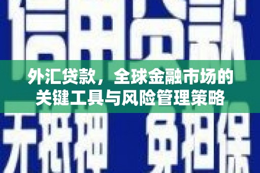 久治外汇贷款，全球金融市场的关键工具与风险管理策略
