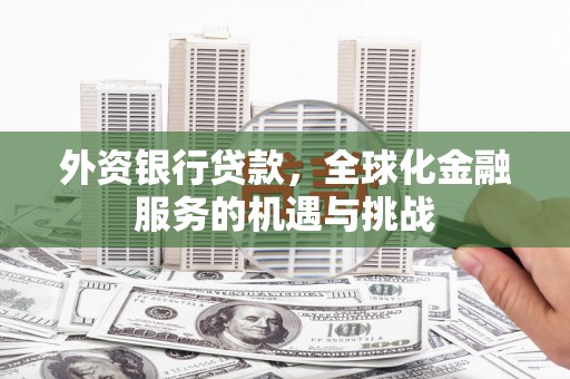 久治外资银行贷款，全球化金融服务的机遇与挑战