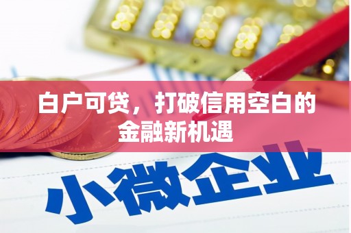 久治白户可贷，打破信用空白的金融新机遇