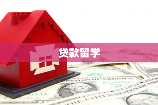 久治贷款留学