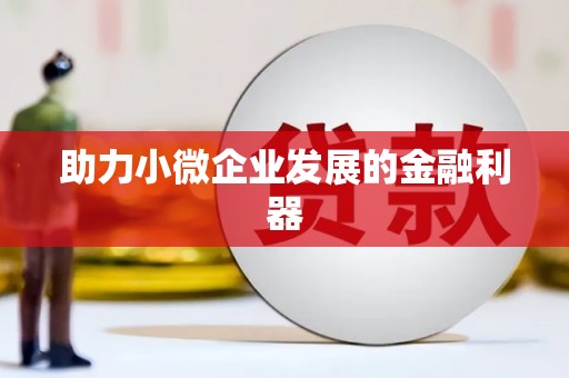 久治助力小微企业发展的金融利器