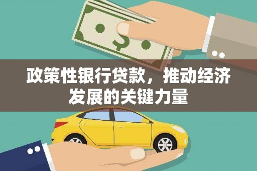 久治政策性银行贷款，推动经济发展的关键力量