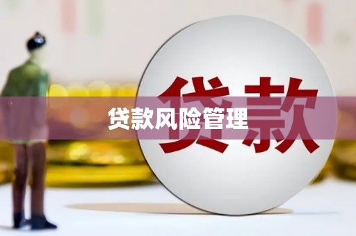 久治贷款风险管理