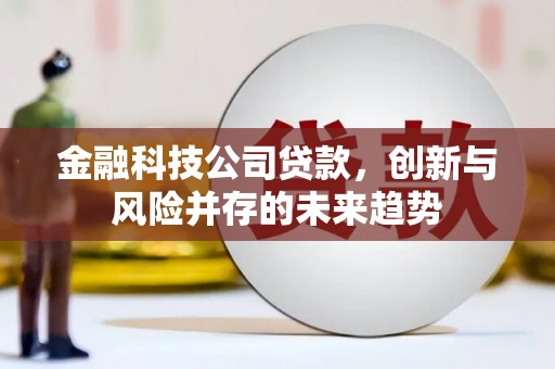 久治金融科技公司贷款，创新与风险并存的未来趋势