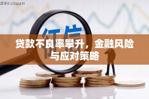 久治贷款不良率攀升，金融风险与应对策略