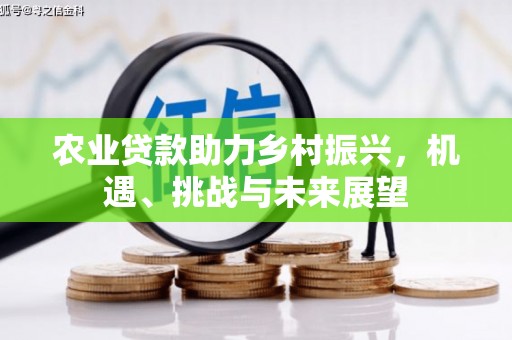 久治农业贷款助力乡村振兴，机遇、挑战与未来展望