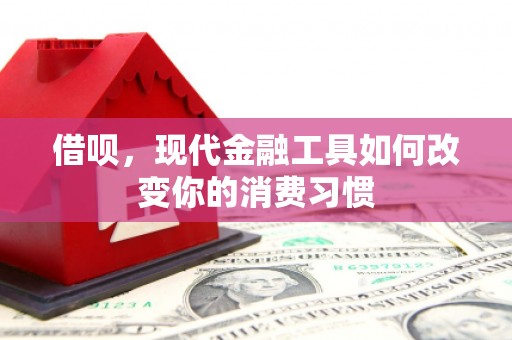 久治借呗，现代金融工具如何改变你的消费习惯