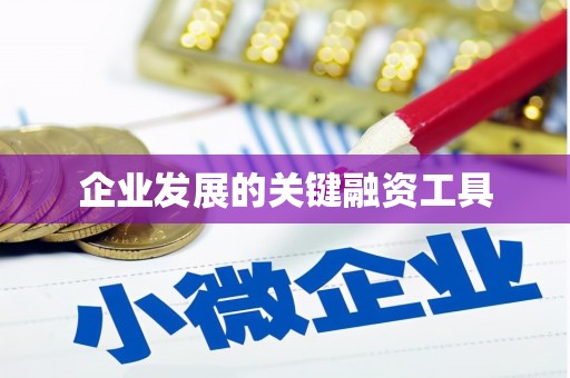 久治企业发展的关键融资工具