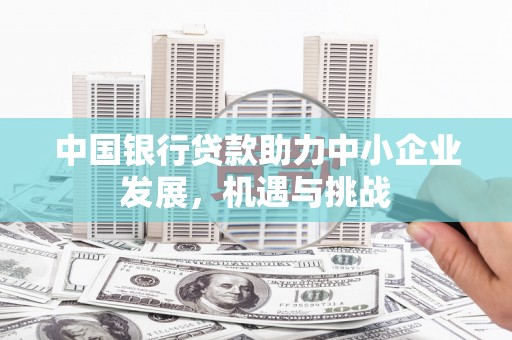 久治中国银行贷款助力中小企业发展，机遇与挑战