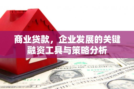 久治商业贷款，企业发展的关键融资工具与策略分析
