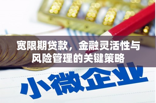 久治宽限期贷款，金融灵活性与风险管理的关键策略