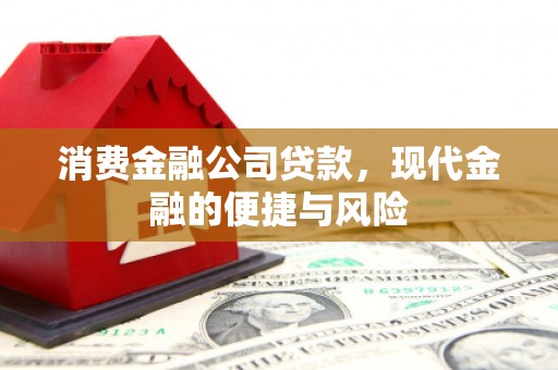久治消费金融公司贷款，现代金融的便捷与风险