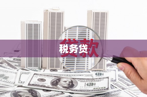 久治税务贷