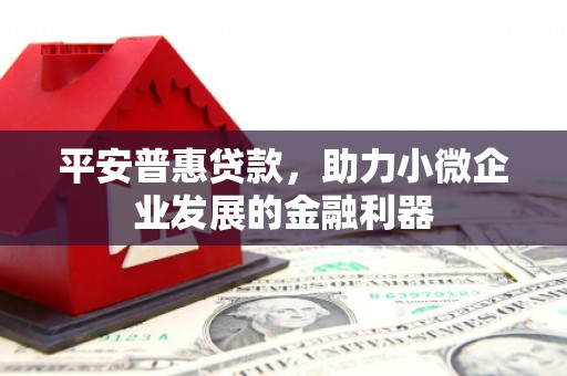 久治平安普惠贷款，助力小微企业发展的金融利器