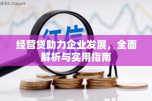久治经营贷助力企业发展，全面解析与实用指南