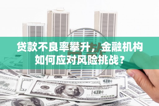 久治贷款不良率攀升，金融机构如何应对风险挑战？