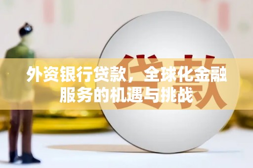 久治外资银行贷款，全球化金融服务的机遇与挑战