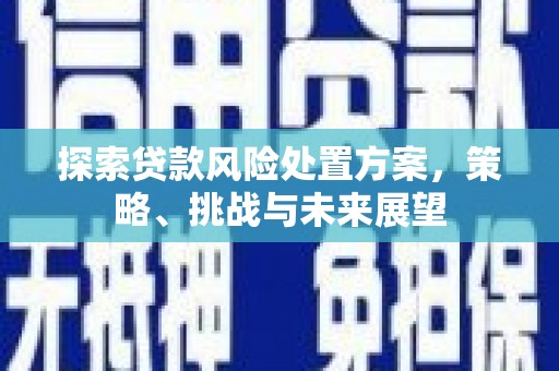 久治探索贷款风险处置方案，策略、挑战与未来展望