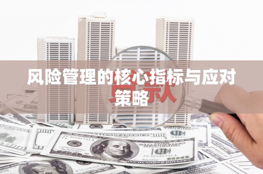 久治风险管理的核心指标与应对策略