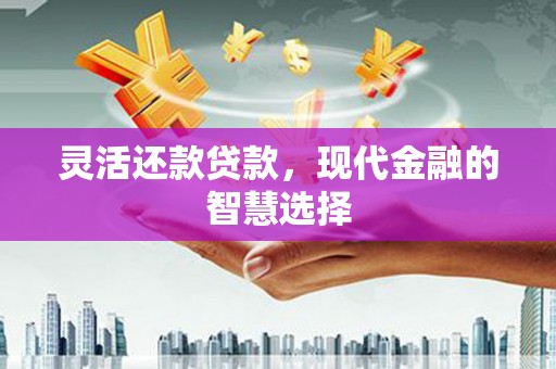 久治灵活还款贷款，现代金融的智慧选择