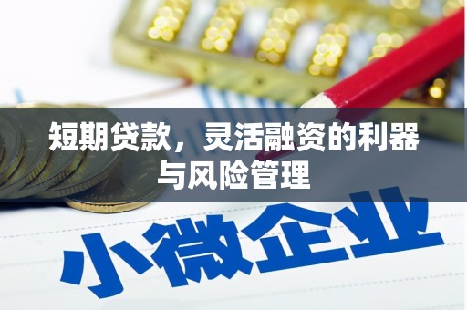 久治短期贷款，灵活融资的利器与风险管理