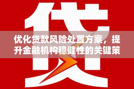 久治优化贷款风险处置方案，提升金融机构稳健性的关键策略