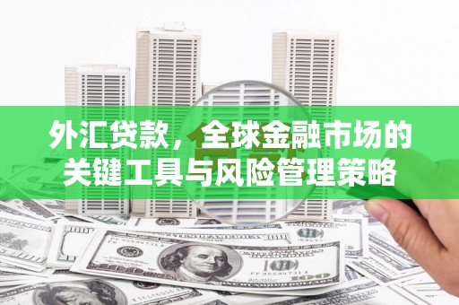 久治外汇贷款，全球金融市场的关键工具与风险管理策略