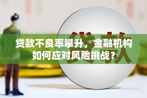 久治贷款不良率攀升，金融机构如何应对风险挑战？