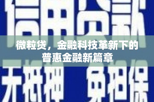 久治微粒贷，金融科技革新下的普惠金融新篇章