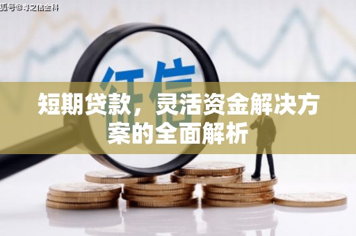久治短期贷款，灵活资金解决方案的全面解析