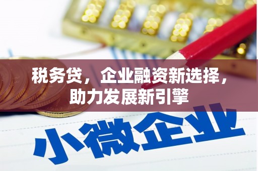 久治税务贷，企业融资新选择，助力发展新引擎