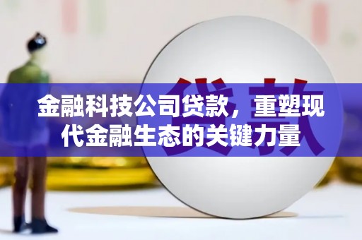 久治金融科技公司贷款，重塑现代金融生态的关键力量