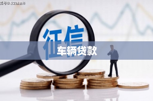 久治车辆贷款