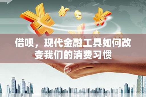 久治借呗，现代金融工具如何改变我们的消费习惯