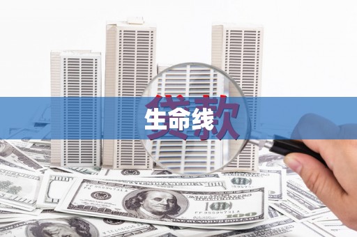 久治生命线