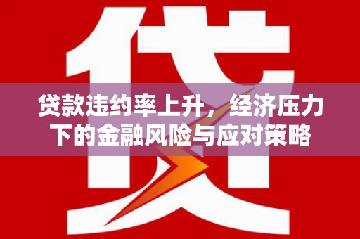 久治贷款违约率上升，经济压力下的金融风险与应对策略