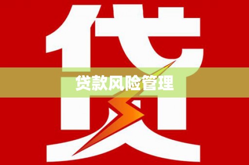 久治贷款风险管理