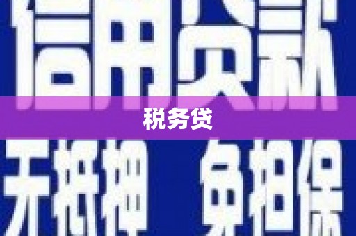 久治税务贷