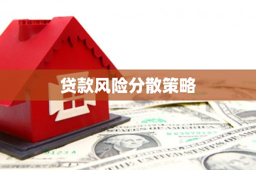 久治贷款风险分散策略